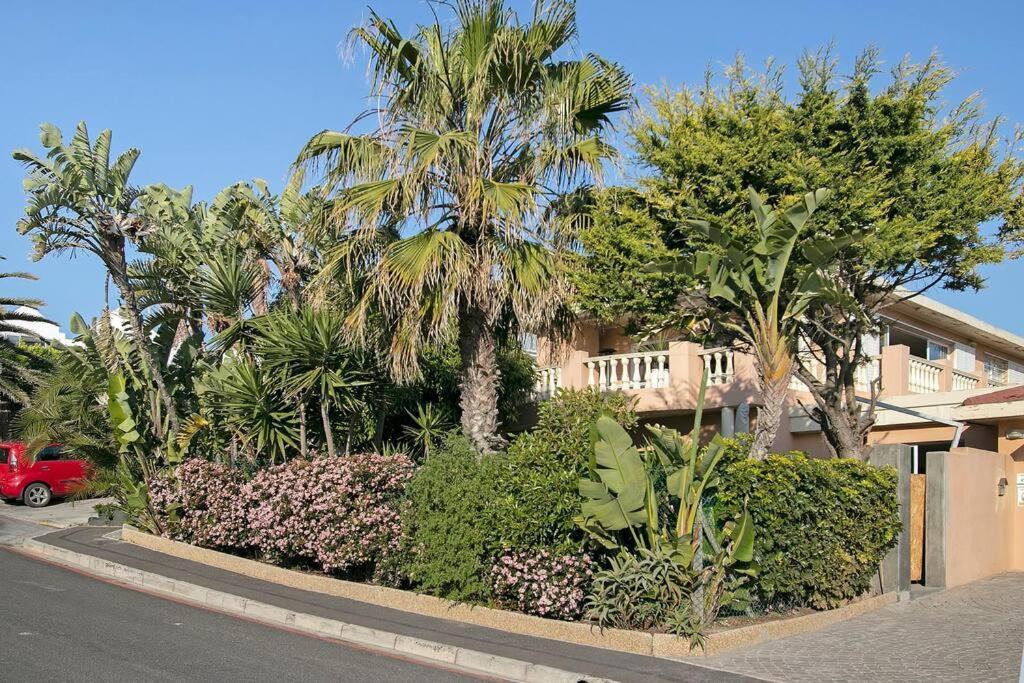 Surfers Dream - Ocean Is So Close! Villa *